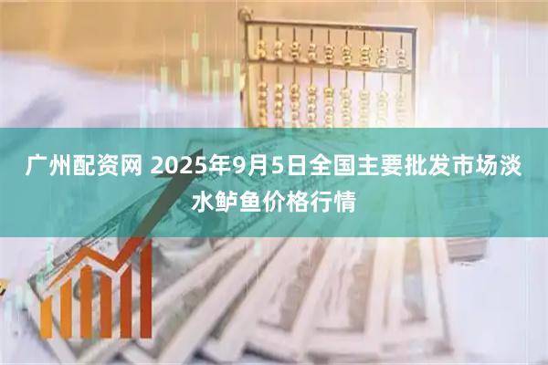 广州配资网 2025年9月5日全国主要批发市场淡水鲈鱼价格行情