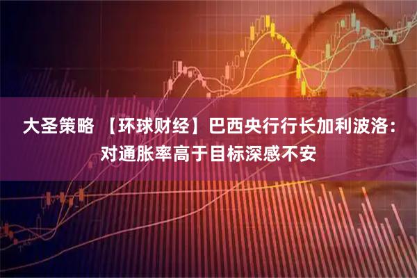 大圣策略 【环球财经】巴西央行行长加利波洛：对通胀率高于目标深感不安