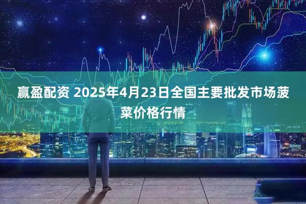 赢盈配资 2025年4月23日全国主要批发市场菠菜价格行情