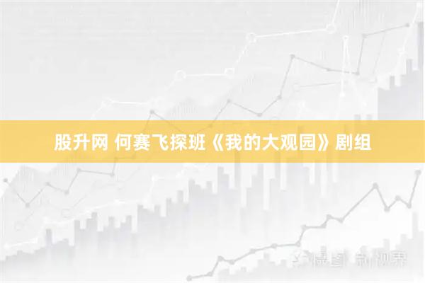 股升网 何赛飞探班《我的大观园》剧组
