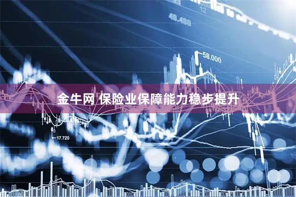 金牛网 保险业保障能力稳步提升