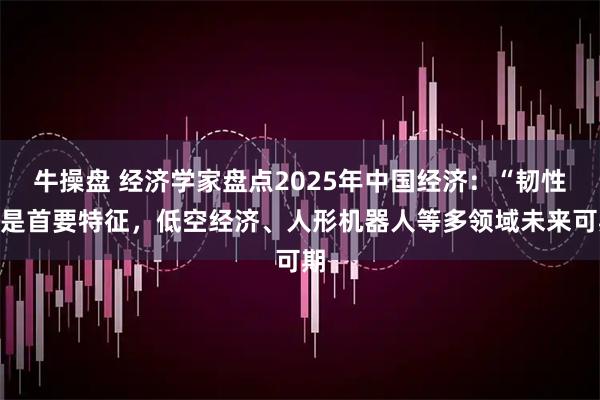 牛操盘 经济学家盘点2025年中国经济：“韧性”是首要特征，低空经济、人形机器人等多领域未来可期