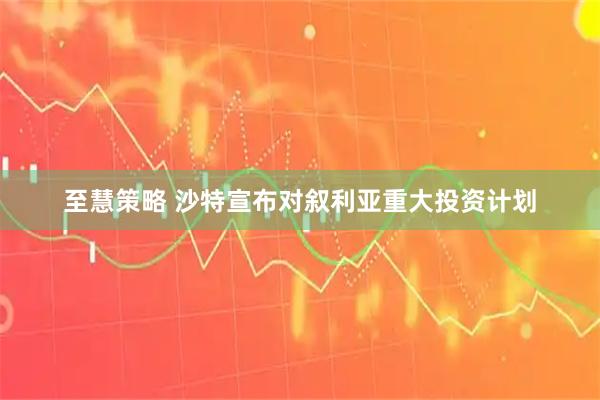 至慧策略 沙特宣布对叙利亚重大投资计划