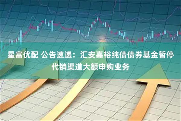 星富优配 公告速递:汇安嘉裕纯债债券基金暂停代销渠道大额申购业务