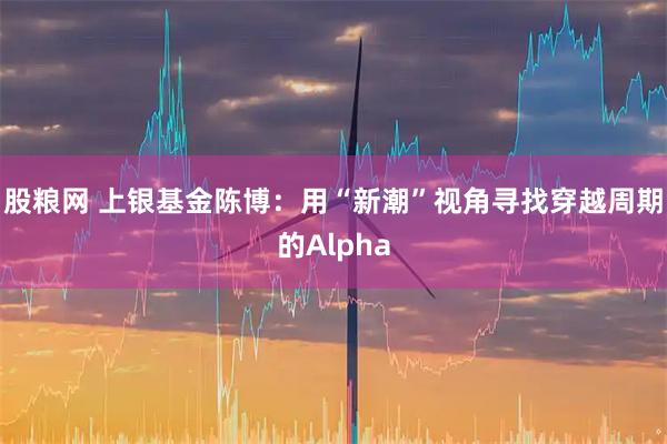 股粮网 上银基金陈博:用“新潮”视角寻找穿越周期的Alpha